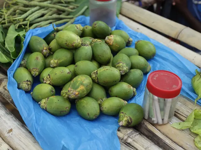 Continued Mining Operations on Gebe Island, Indonesia, in Spite of Indigenous and Juridical Protest