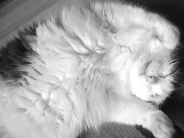 "Research suggests that cells expel waste to regenerate and appear youthful once more"