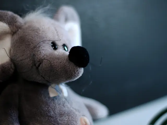 Lawsuit Filed by South Carolina Woman Against Manufacturer of Dolls Connected to Adult Website