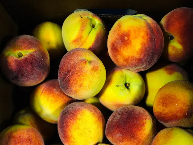 Adopts Implementation Acts Outlining the Procedures for Applying This Regulation.