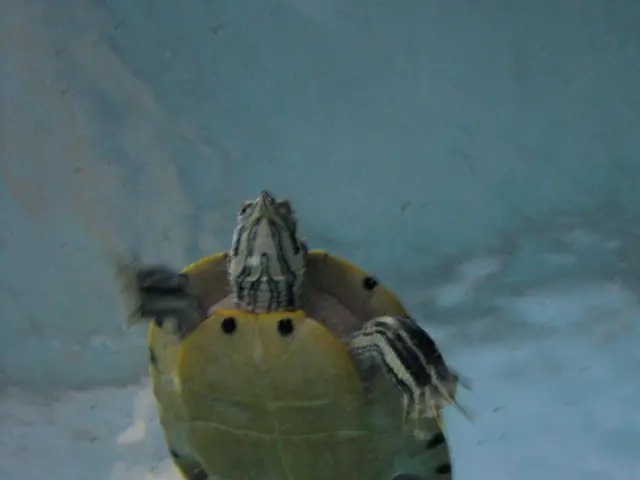 Revolutionary Advancement in Medicine: Synthetic Torpor Set to Transform the Field