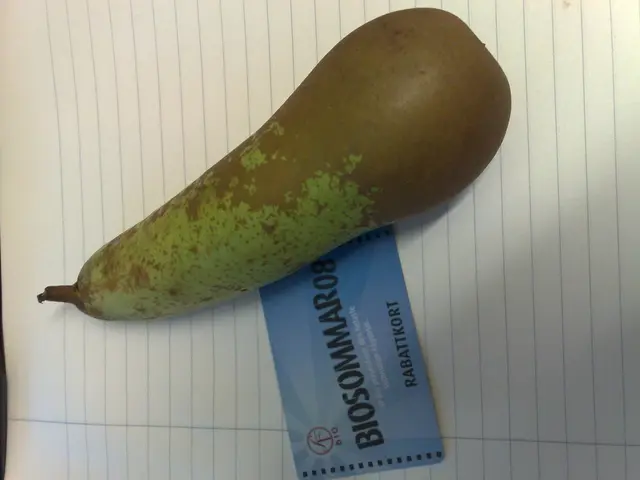 Online Prepaid Cards from Correos in Madrid: Affordable €6 Digital Products Enhancing Online...