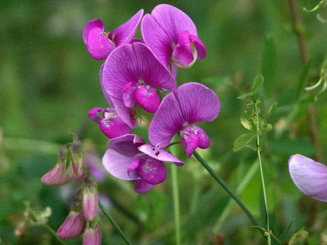 Troubleshooting Purple Artifacts in Skyrim: A Guide to Restoration