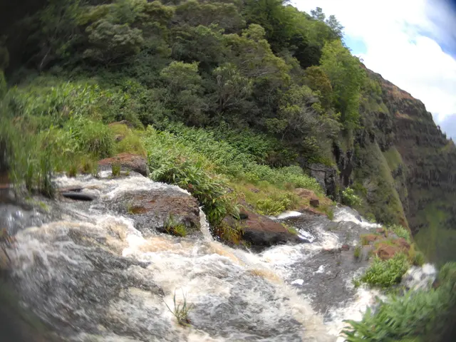 England's Drought Expands to Four Regions, With Midlands Joining Yorkshire and the North-West