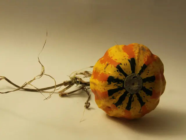 Preserving Pumpkins for Convenient Autumn Flavor