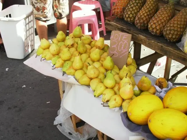 Slot Machine Experience: Deluxe Fruits 100 Edition