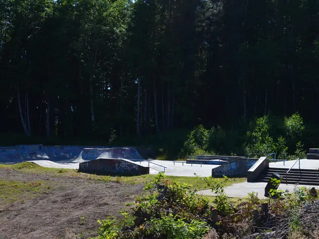 Seasonal guide for continuous garden pruning