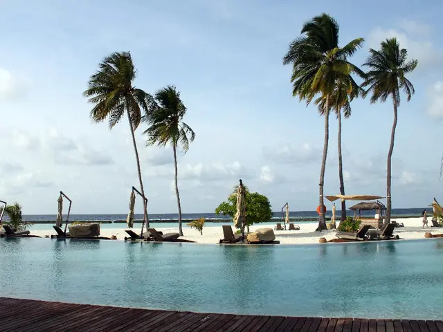 Weekly Favorites for August 29th