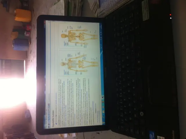 Evaluation of Kioxia Exceria Plus G2 (2TB) SSD: Space-efficient and Compact Design