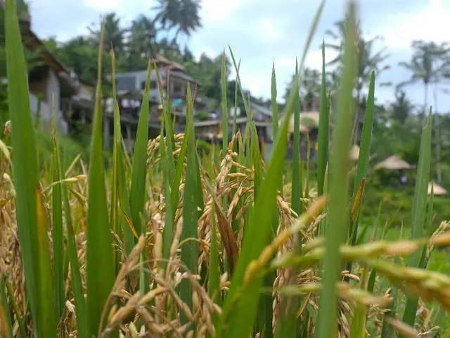 Malfunctioning Climate Sensor Relocated