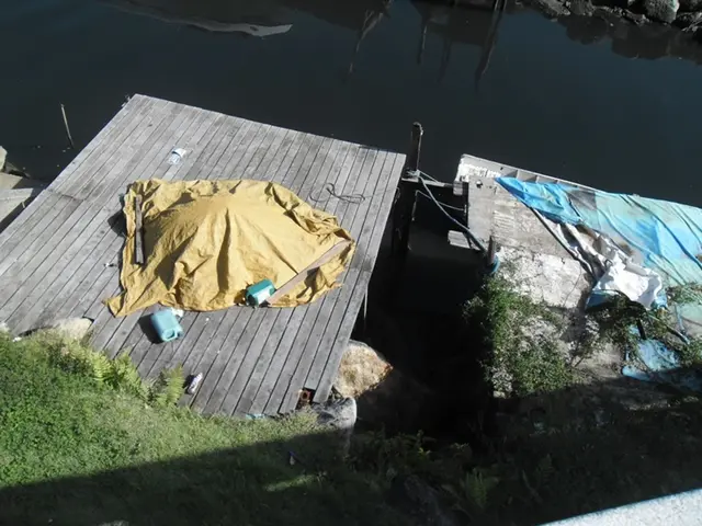 Eco-restoration initiatives kick off in Lichtenberg