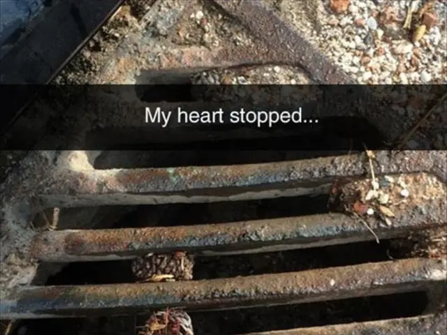 Heart Disease of the Valves: The Undervalued Peril of a Prevalent Condition