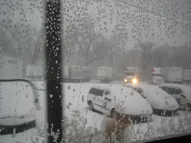 Untreated window condensation may escalate to larger issues: What causes it and why is it essential...