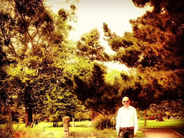 Daily remedies for hair growth, from genetic codes to aromatic rosemary oil, as prescribed by a...