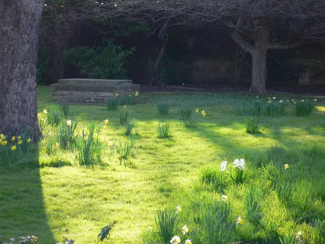 Discover 25 enchanting English gardens adorned with timeless elegance and a lavish array of flora