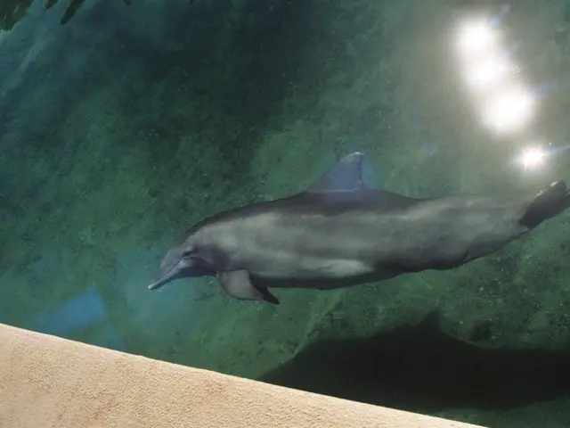 Athletic Advice from Takeshi Kawamoto: Strive Hard for More Than Personal Gain, Delight Your...