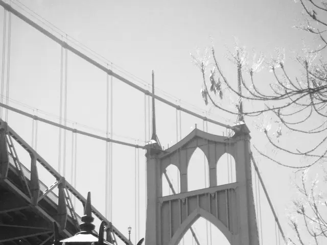 Understanding loans during probationary periods: an explanation of the loan contract process