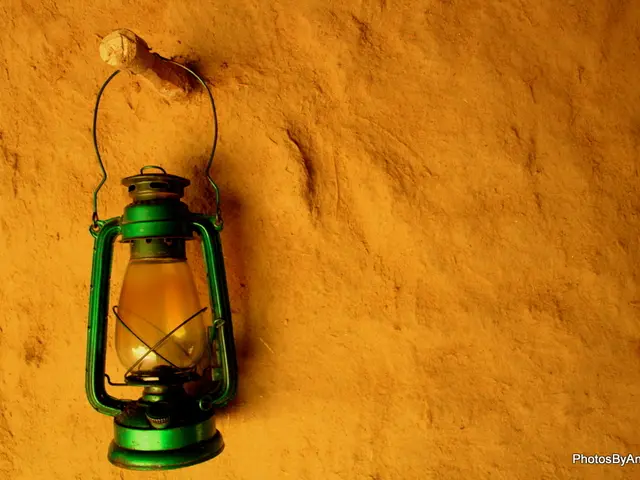 Compensation measures are initiated to offset the job termination of a former Council member