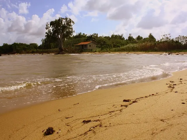 Miiami Beach property previously owned by Rosie O'Donnell gets sold for $36 million.