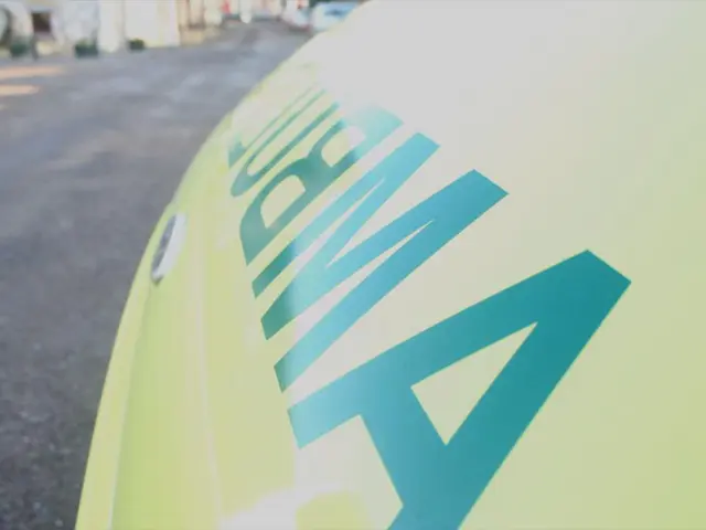 Nuclear energy is experiencing a surge in popularity, as per VanEck CEO's comments