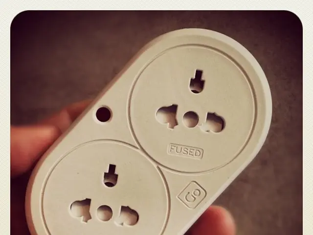 Electric Stimulation Alters Human Macrophages' Function, Promoting Swift Recovery