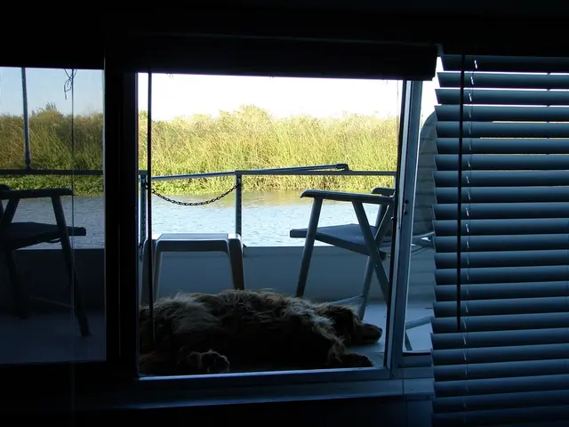 Season concludes with dog taking to the pool for a swim.