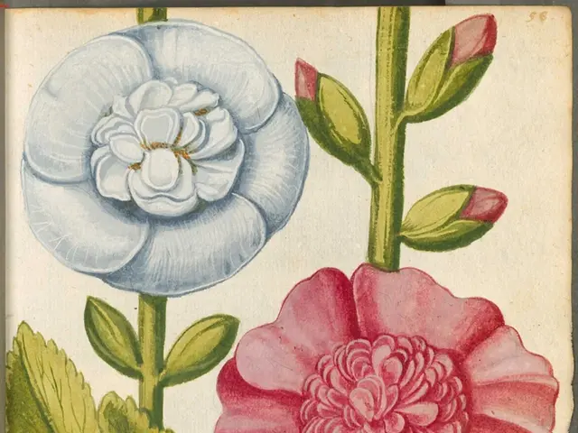 Exploring Blooming Symbolism in 17th Century Art: Unveiling the Flower Power at Tallinn's Art...