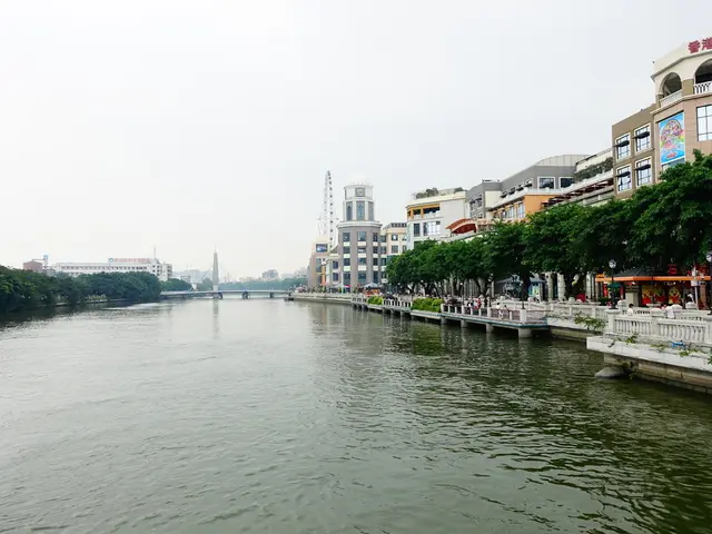 Authorities plan to construct four bridges in Riba-roja and Vilamarxant for riverbank connection