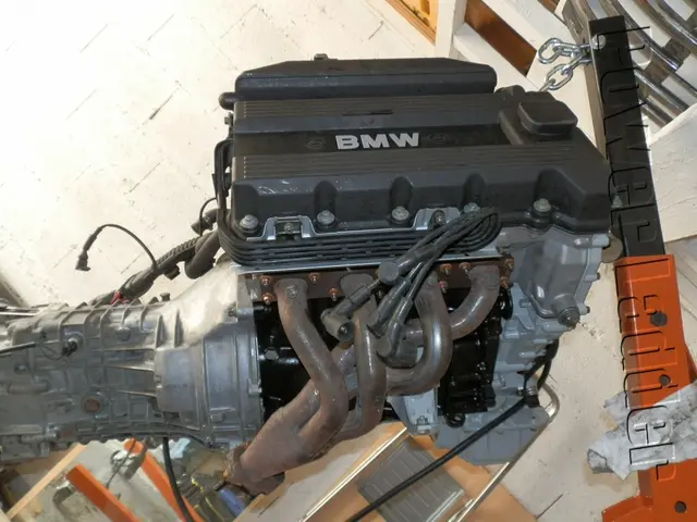 U.S. government, under Trump administration, nixes $4.9 billion loan for nation's largest power...