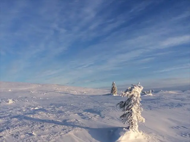 Likely Emergence of La Nina this Autumn, Possibility of Severe Weather Conditions in Korea