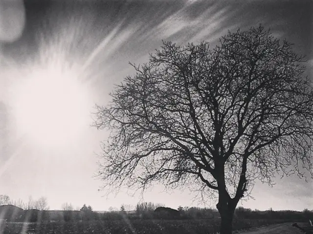 Unveiling Earth's Carbon Mysteries: Hazen's Symphony in C Explored