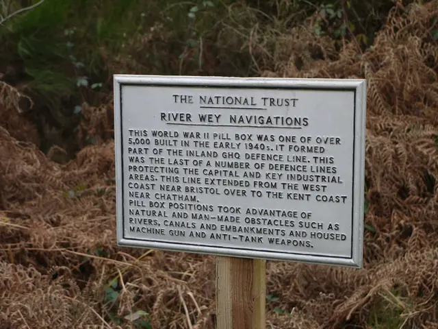 The Commission has actively participated in compiling the report detailing the progress of the...