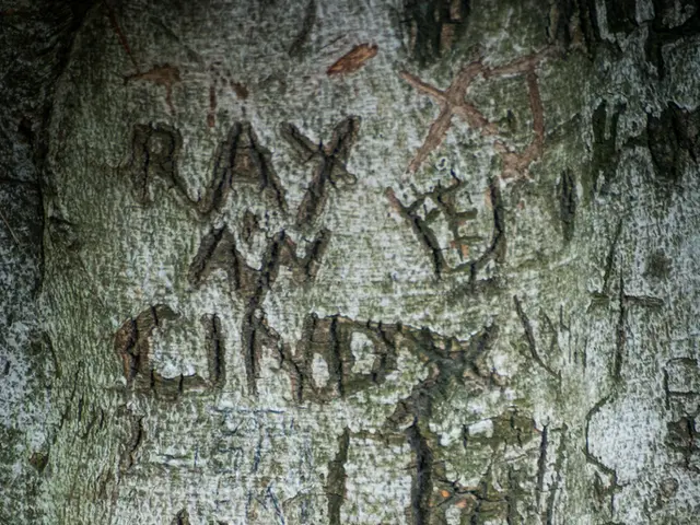 Wage of Victory in Tax Deception Crusade