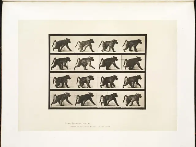 Announcement of Recipients for the Danube-Swabian Cultural Award