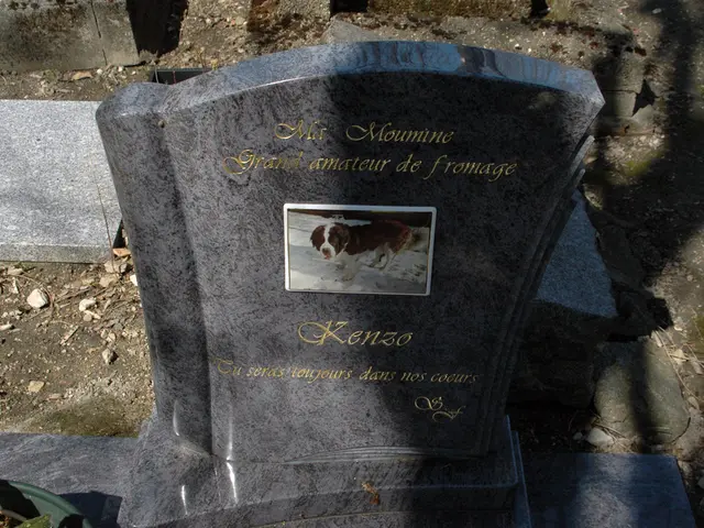 Display of atrocities connected to "euthanasia" transgressions