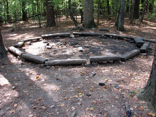 Timber Options: A Comparison Between C16 and C24 - Which is Suitable for Your Construction Project?