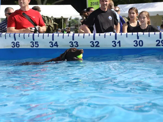 Dog bathing concludes heath's swimming season in Solingen