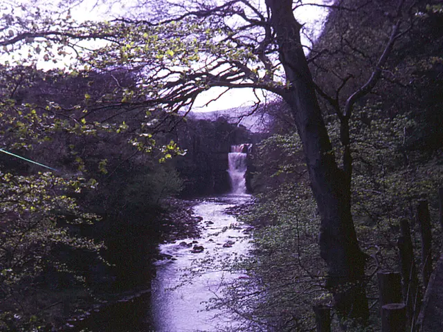 Heavy monsoon rains causing destruction in Punjab prompt emergency aid groups to act swiftly,...