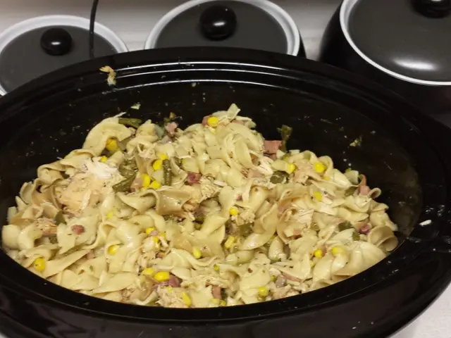 Transforming Your Preferred Sluggish Cooker Dishes into Speedy Pressure Cooker Recipes