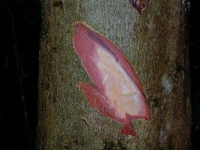 Encouraging Physiological Interaction within Stem Cells