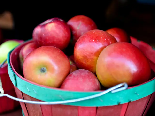 Discover 17 prime spots in Westchester for a fruitful apple picking adventure