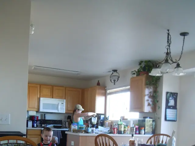 Michael Käfer's Wealth: Insights and Present-day Evaluations Regarding His Financial Status