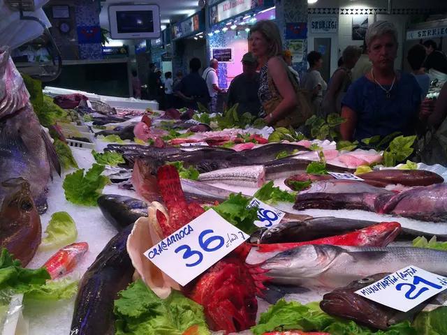 Ice Fishing Competition in Chukotka