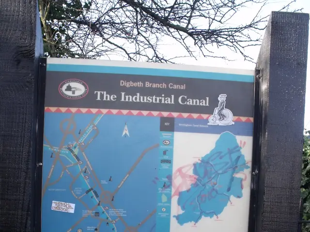 Forestry Revitalization: Planting of New Trees in Obertshausen Community