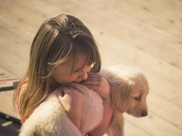 Mixed Breed Dog Killed after Attacking Young Girl; Butcher Ends Canine's Life