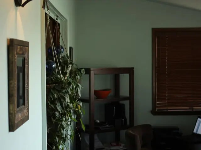 Transformed indoor living spaces with hanging planters for a fresh, lively ambiance