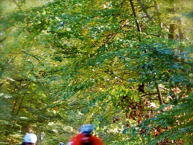 Investigation initiated by Control Yuan into allegedly discriminatory street names