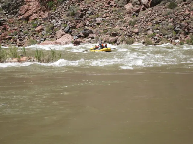 Lichtenberg initiates environmental restoration project