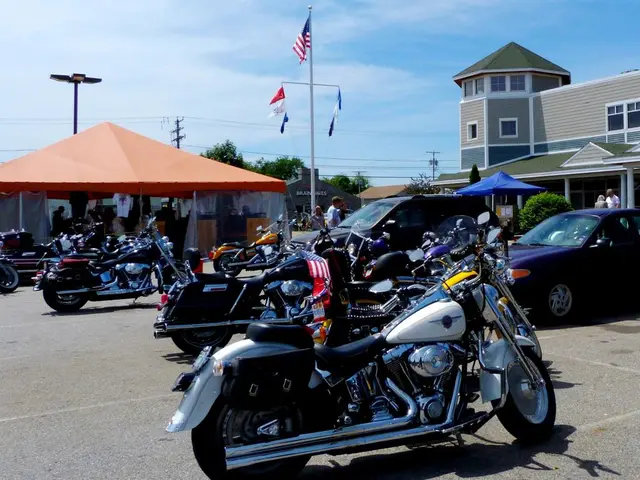 Bicycles swiped during a cellar burglary in Bonn-Endenich