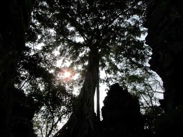 Over one hundred and fifty Ministers of Culture are scheduled to attend the UNESCO Mondiacult...